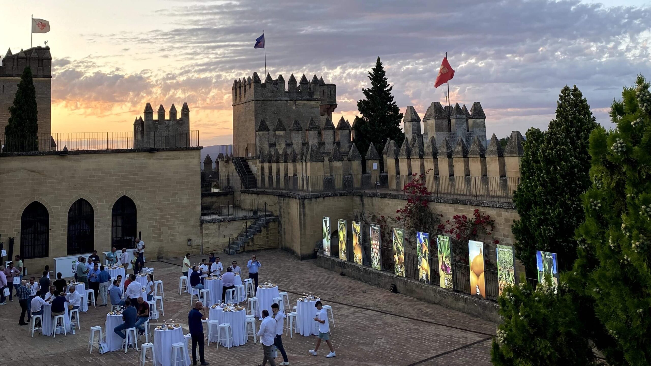 bejo iberica jornada tecnica cebollas|bejo iberica jornada tecnica cebollas|bejo iberica jornada tecnica cebollas|IMG_20230622_160251